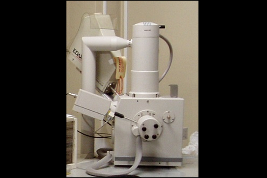 走査型電子顕微鏡（SEM）観察