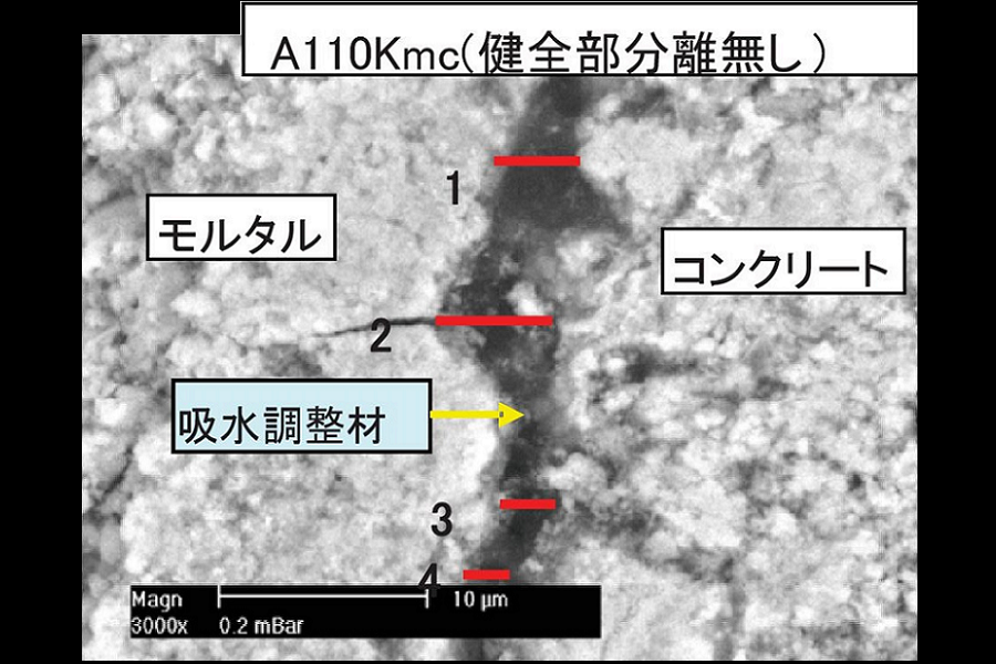 走査型電子顕微鏡（SEM）観察